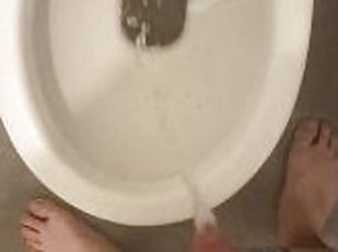 Pissing & Farting in the toilet