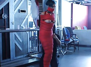 Inescapably Bound And Gagged - Loren Chance