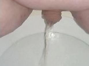 clitoride, urina, gay, grassottelle, feticci, solitari, bagnate, reali, peni