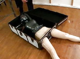 Latex Lucy in box