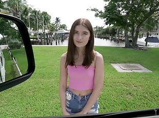Small tits babe Eliana Rose picked up and fucked in the van