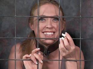 Collared girl in a cage sucks big cock